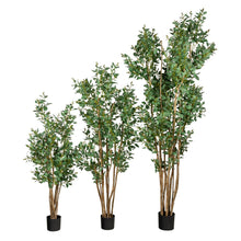 Load image into Gallery viewer, 5', 6' 8' Eucalyptus Trees