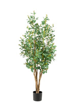 Load image into Gallery viewer, 5', 6' 8' Eucalyptus Trees