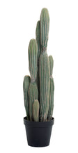 Load image into Gallery viewer, 3&#39; Cereus Cactus - UV Treated  FP1103
