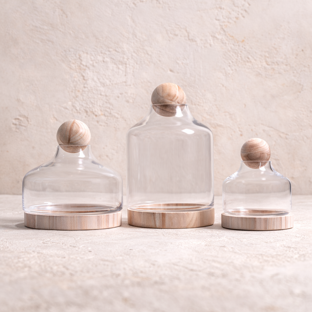 Cabo Terrarium Collection