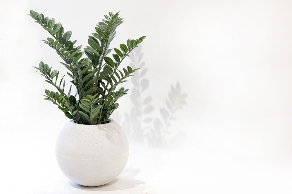 Hana Planter