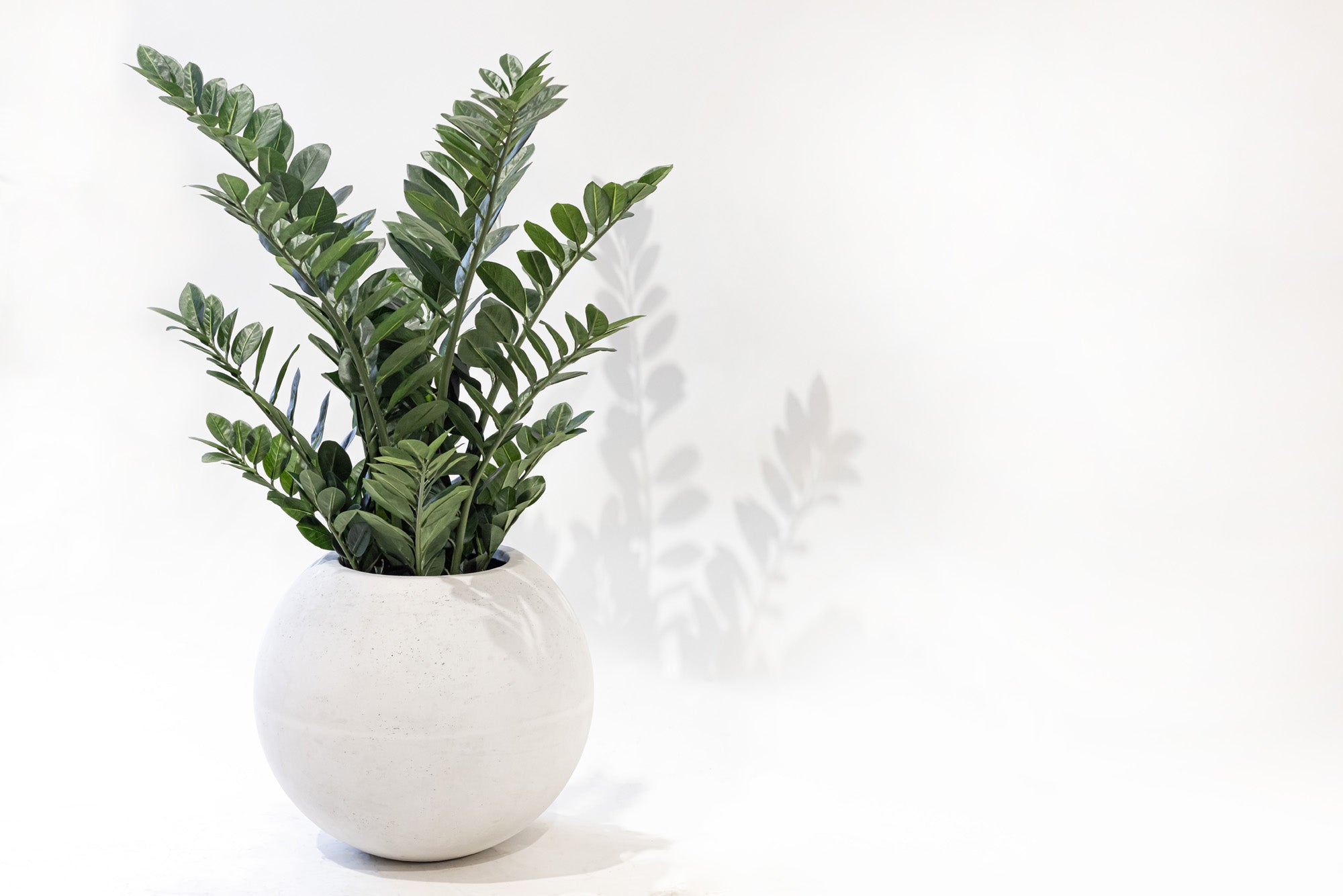 Hana Planter