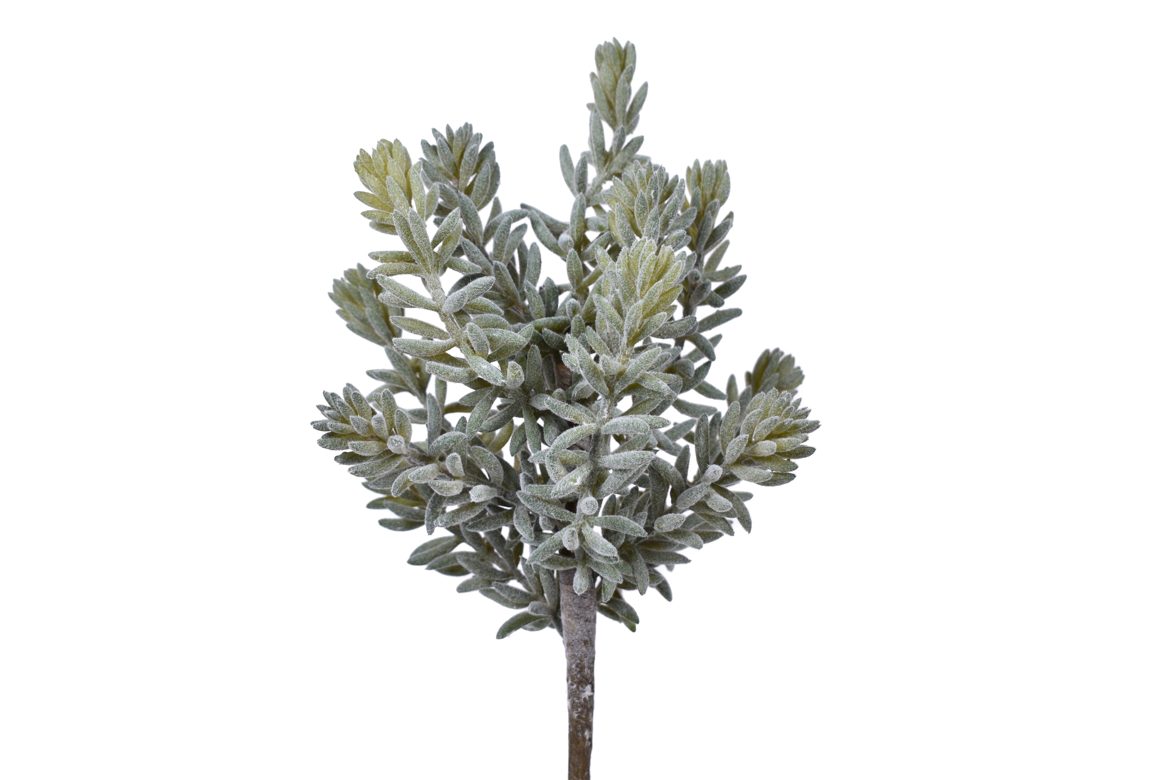 11" UV Protected Sedum Pick