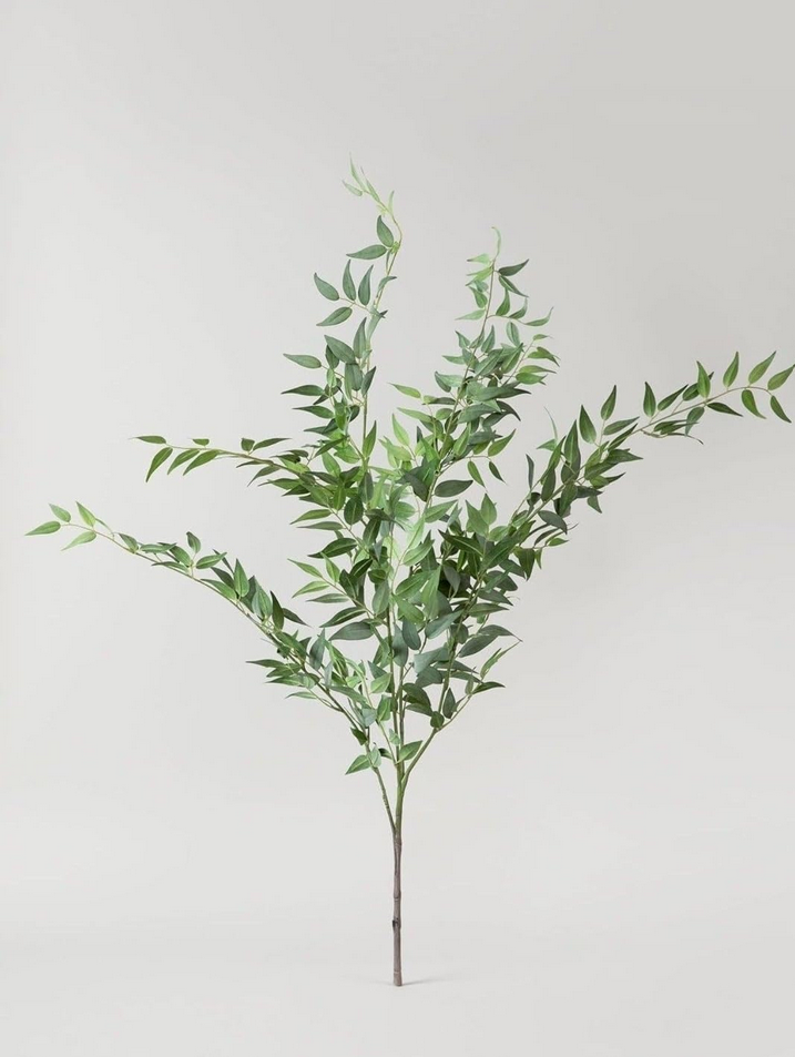 Italian Ruscus Stem - UV Treated