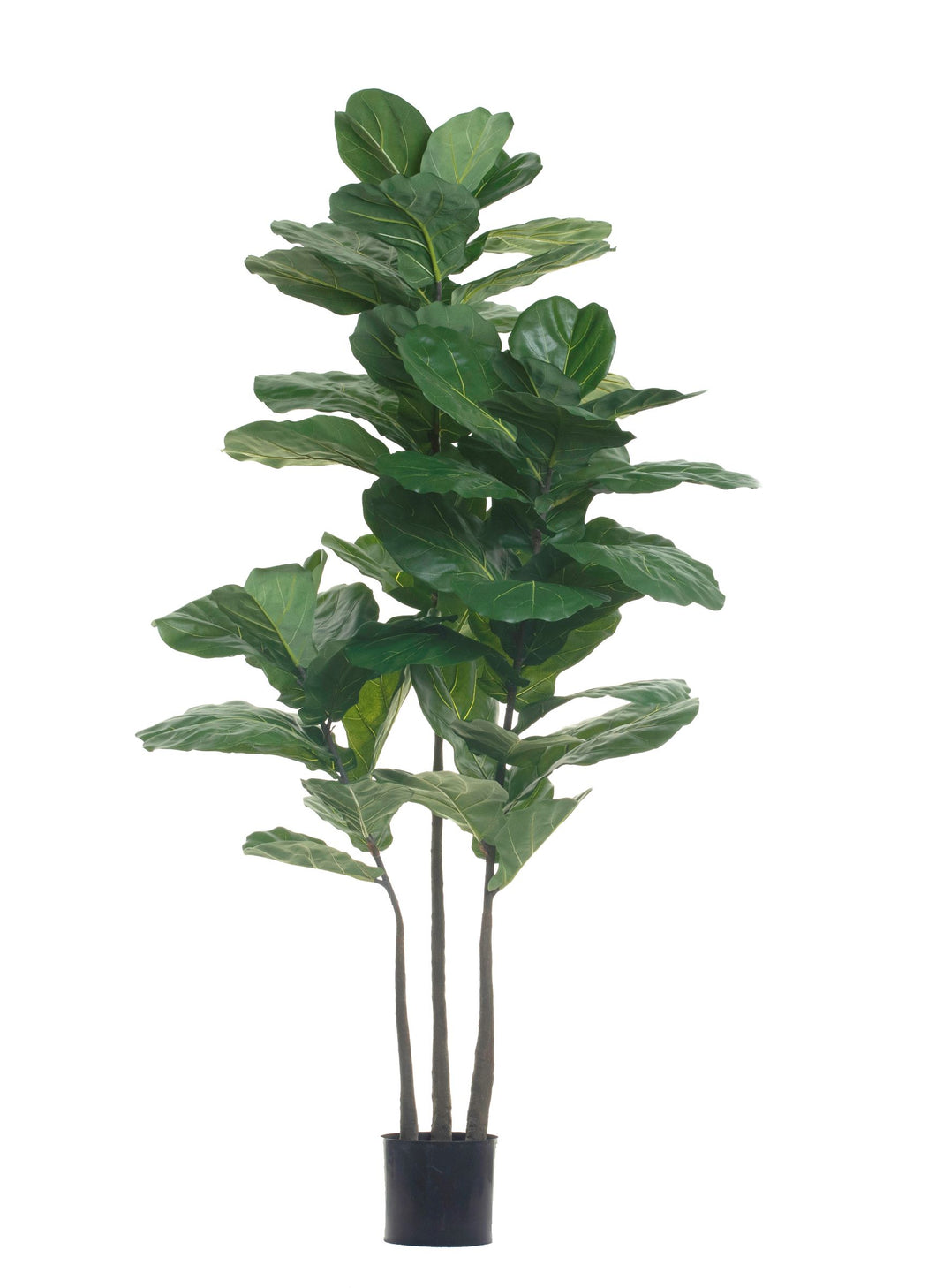 6.5' Faux Fiddle Leaf Fig